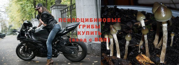 гашиш Михайлов