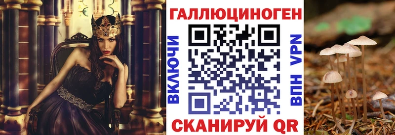 цены Новосибирск Псилоцибиновые грибы Magic Shrooms
