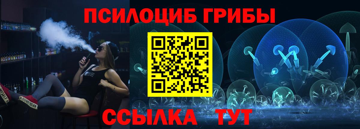Новосибирск  Псилоцибиновые грибы MAGIC MUSHROOMS  Вход с VPN 
