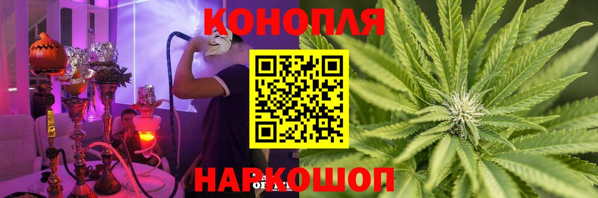 Бошки марихуана гибрид Новосибирск